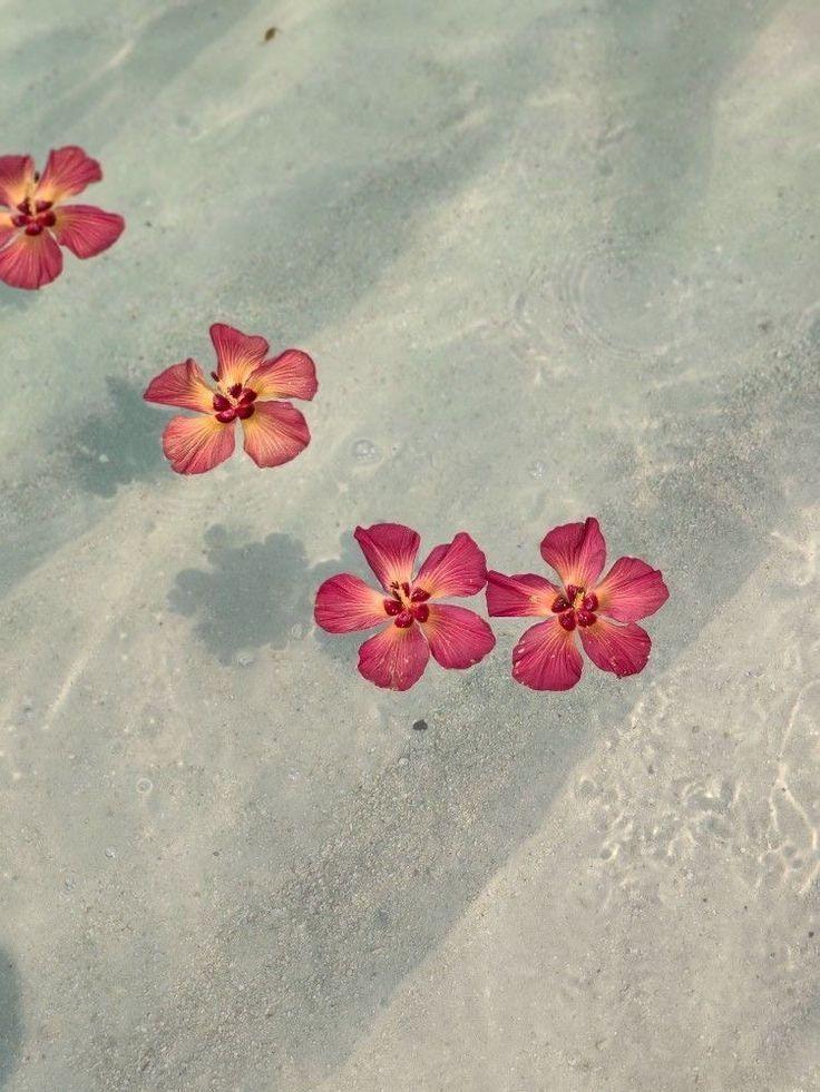 Serenade in Petals: Symphony of Floral Harmony